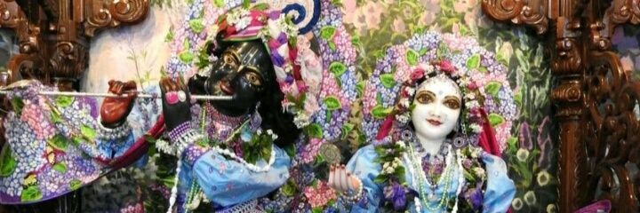 SaloniVarshney5's profile banner image
