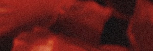 blondmodel_ Profile Banner