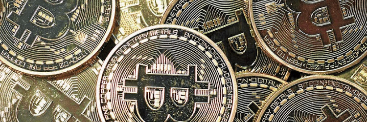 Bitcoin Profit Coach banner