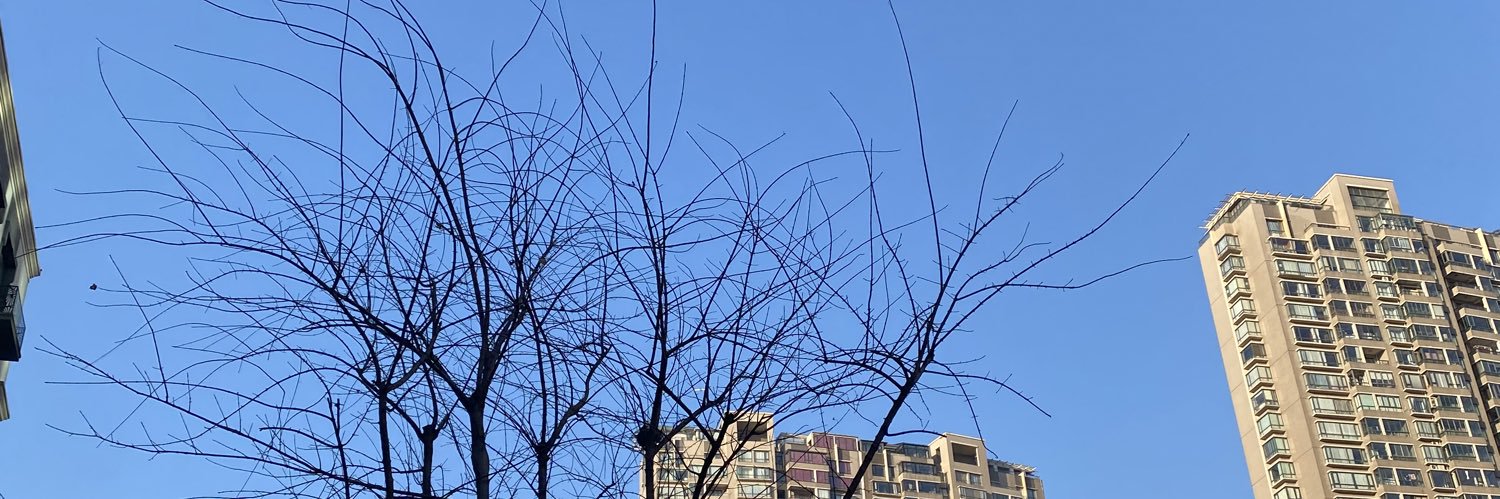 爱吃折耳根 banner
