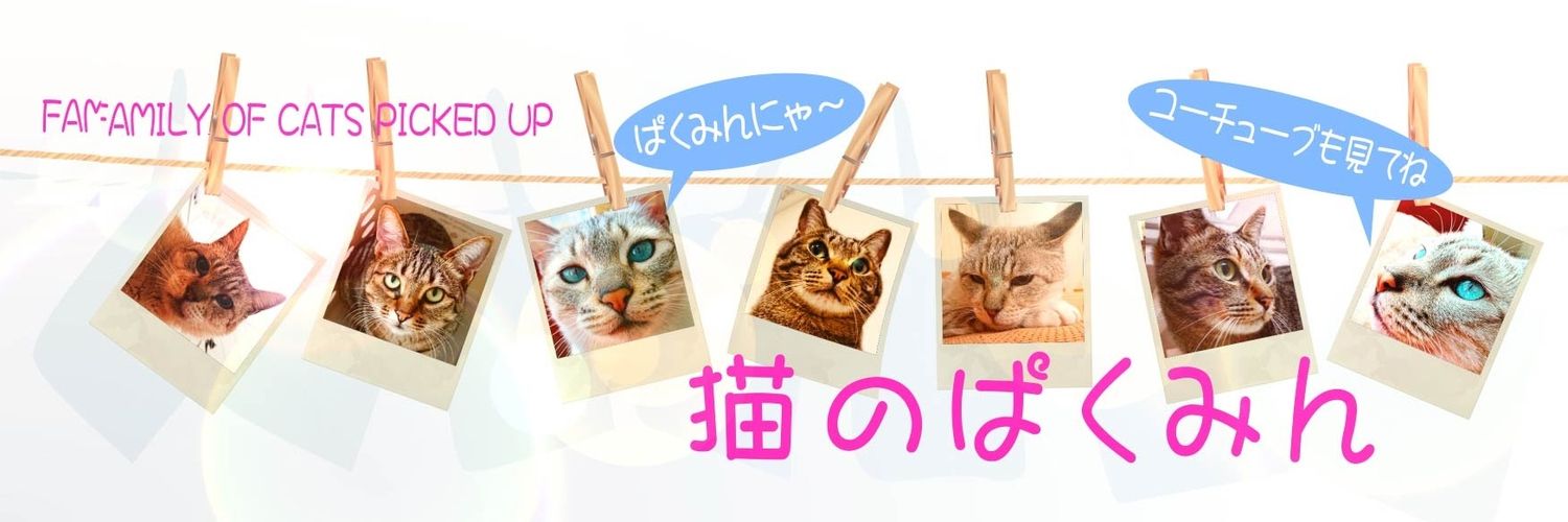 8989pakumin_cat's profile banner image