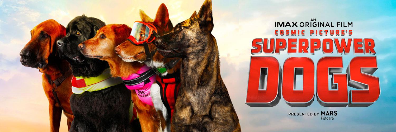 Surf Dog Ricochet banner