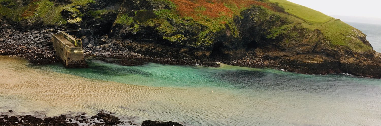 PippaShort-NHS banner