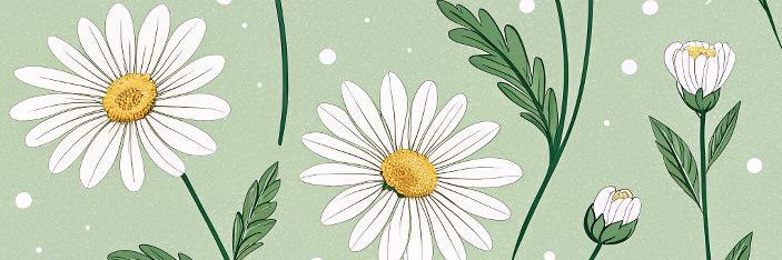 Daniela Lizardo banner