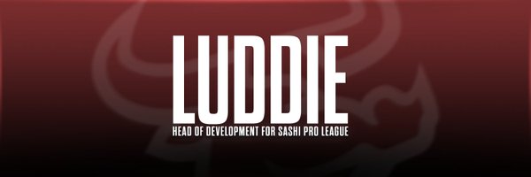 Luddiecsgo Profile Banner