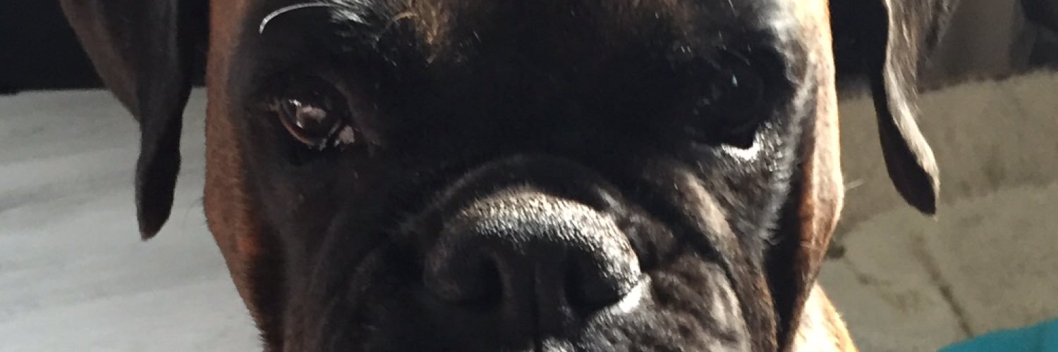LUCKYLINEStable's profile banner image