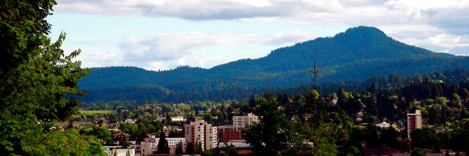 Springfield Eugene Tenant Association banner