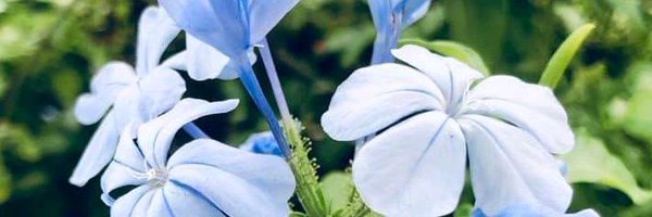 KATEqoisb8sGeuG Profile Banner