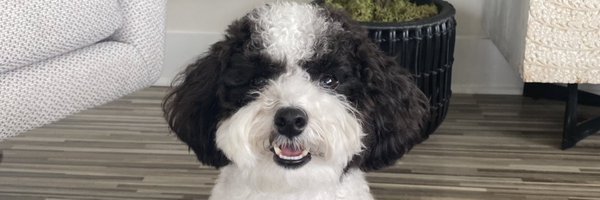 kendell_hunter Profile Banner