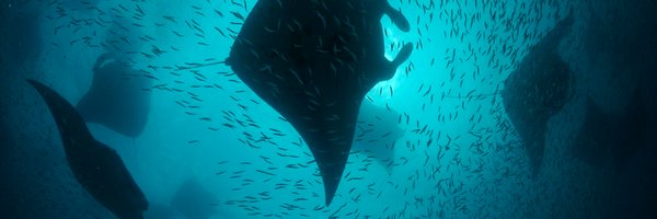 MantaTrust Profile Banner