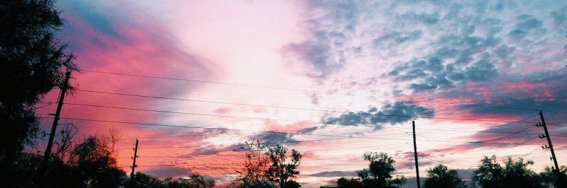 Isabelle Kent banner