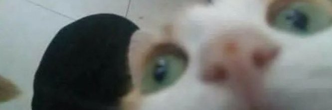 Moi quand je être à la recherche de mon père banner