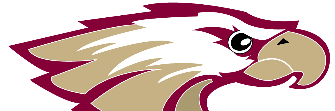Robert Morris Women's Basketball banner