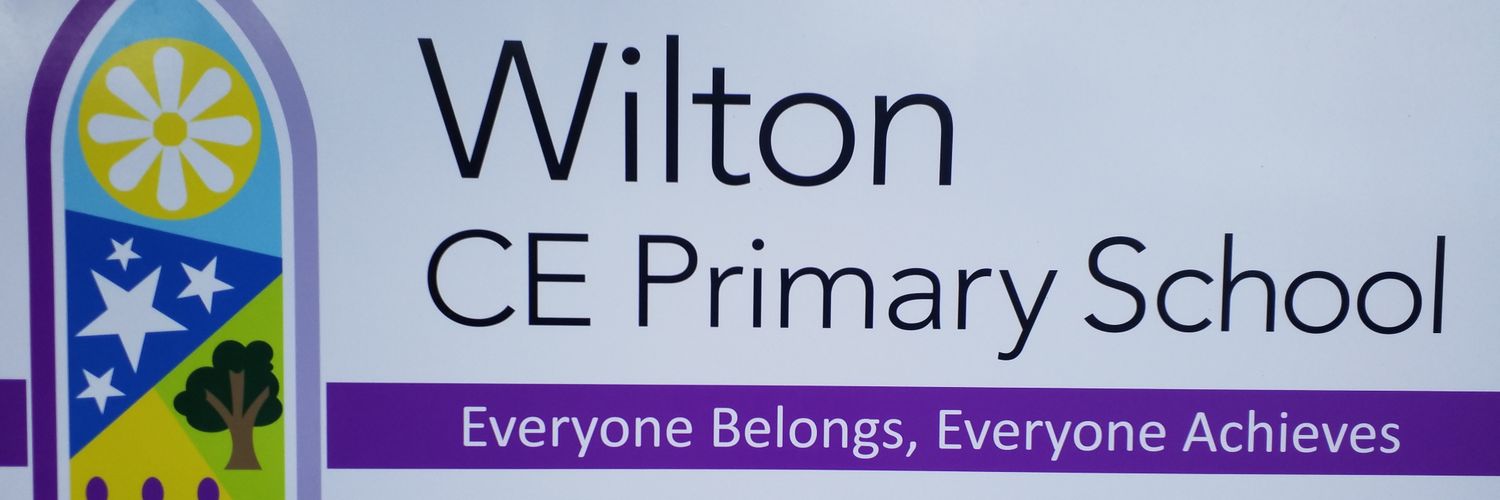 Wilton CE Primary School 🌈 banner