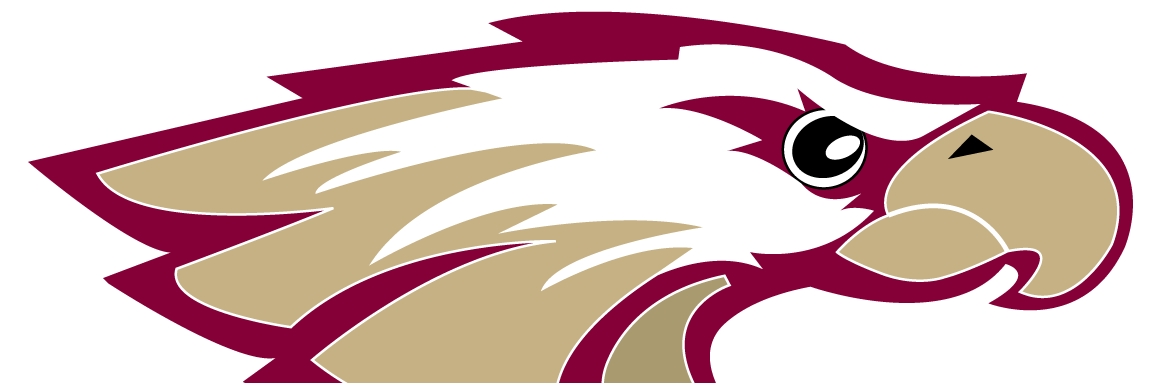 Robert Morris Men's Basketball banner