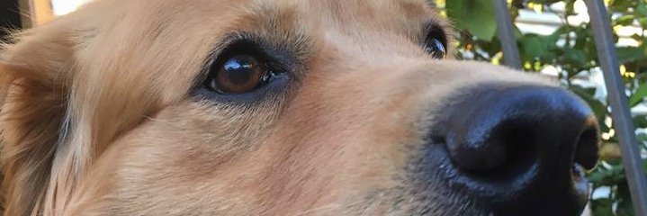 salvapz's profile banner image