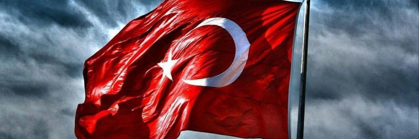 aynur_tek's profile banner image