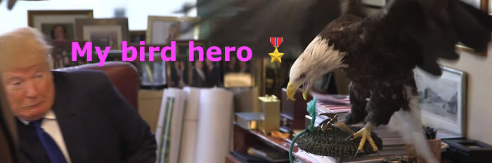 BirdResister's profile banner image