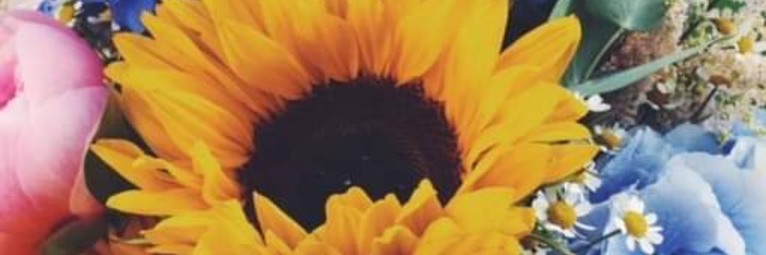 Nom_fundoN's profile banner image