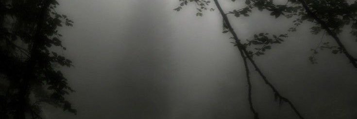 𝐄𝐅𝐅𝐈𝐄 ♱ banner