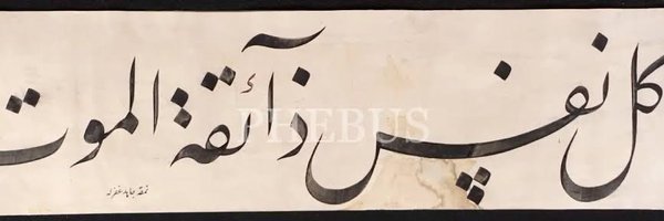 spectecular34 Profile Banner