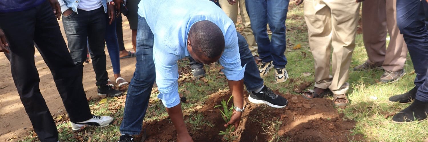 Hon. Innocent Mugabe banner