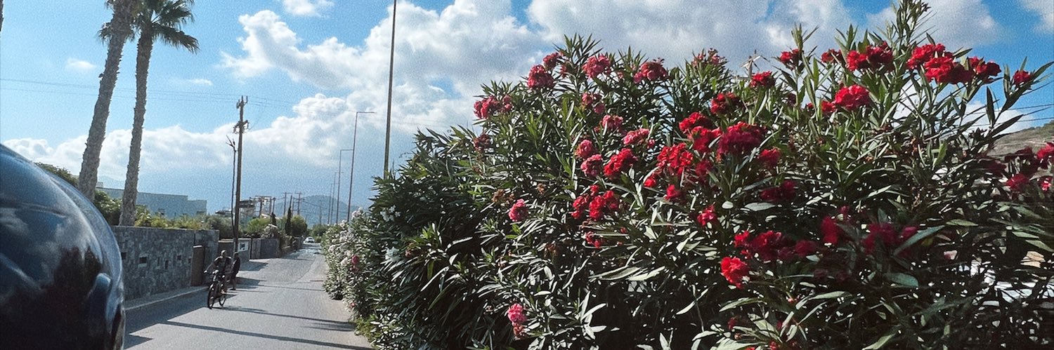 Danielle Heskin banner