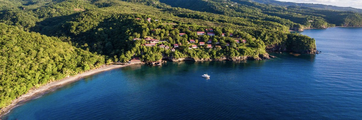 Uncommon Caribbean banner