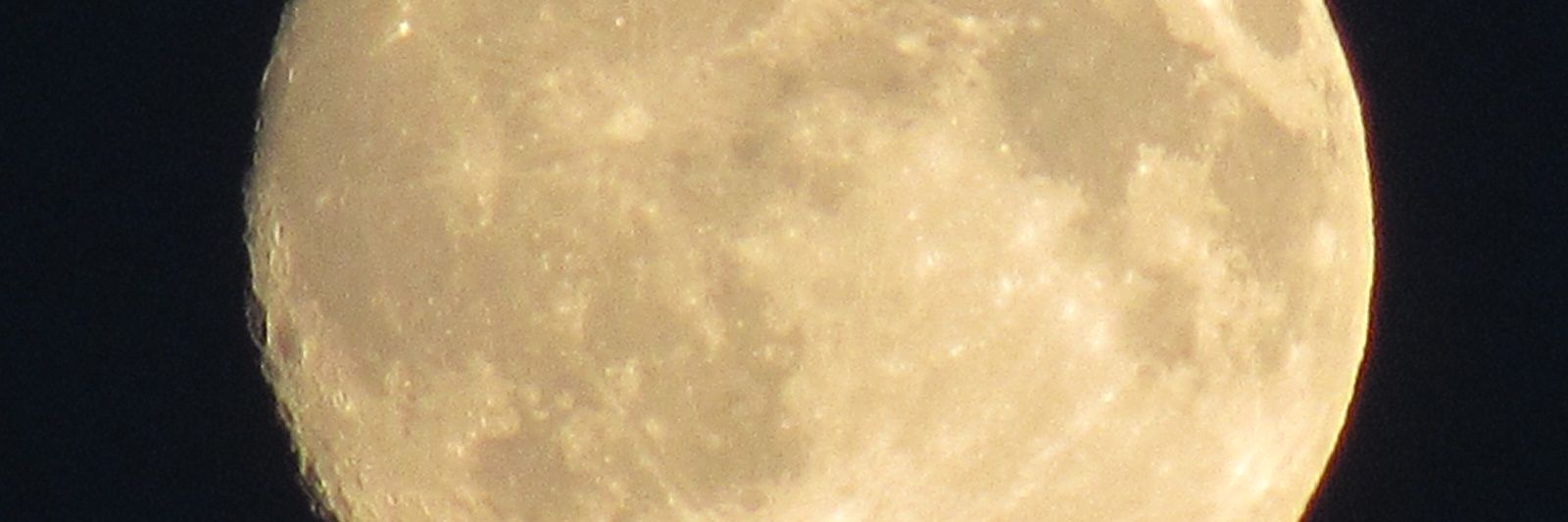 krisnicholson82's profile banner image
