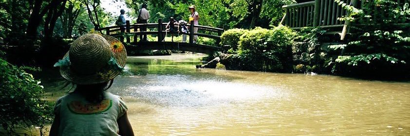 🌻natsu🍉 banner