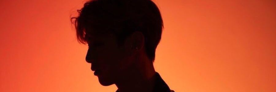 Froy§ banner