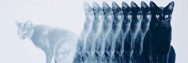 AshZigzag22's profile banner image