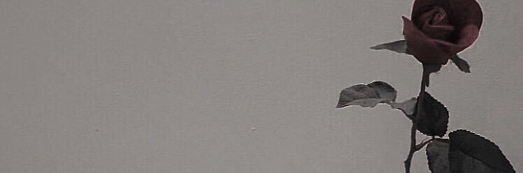 yyyk_0's profile banner image