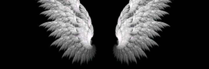 arnoldapolinary's profile banner image
