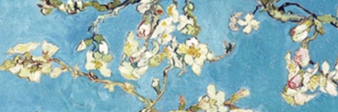 RxAlaa's profile banner image