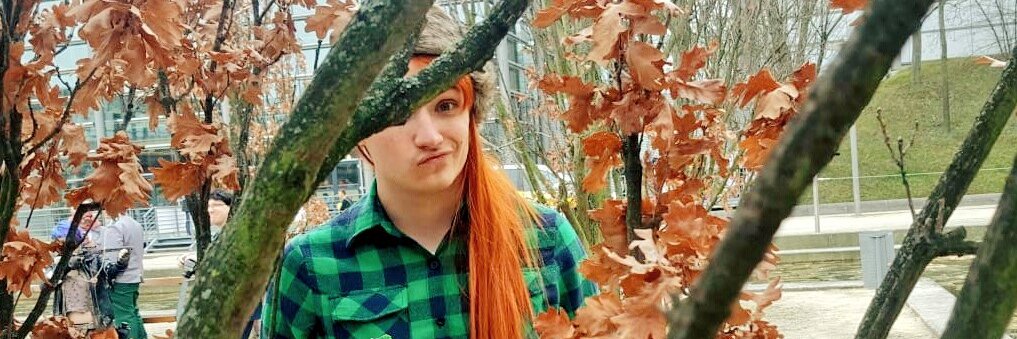 Felune_'s profile banner image