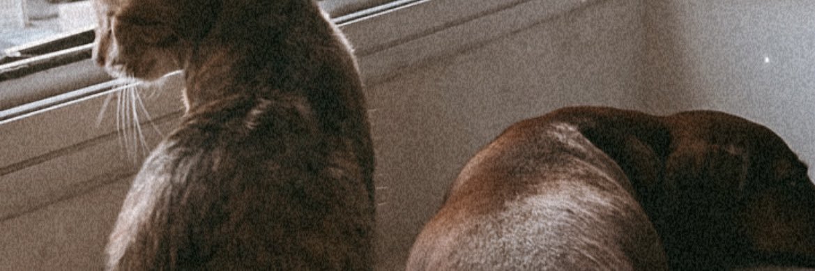 arocalour's profile banner image