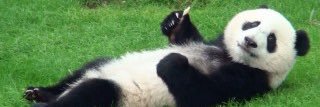 AimPandananny0's profile banner image