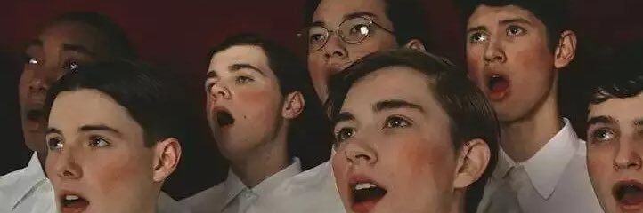 Tooldointer's profile banner image