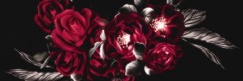zukoauditore's profile banner image