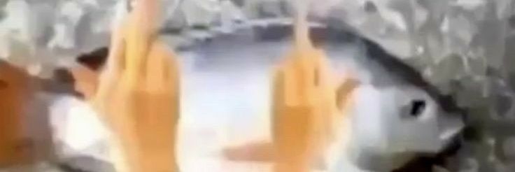 skippyb0nes's profile banner image