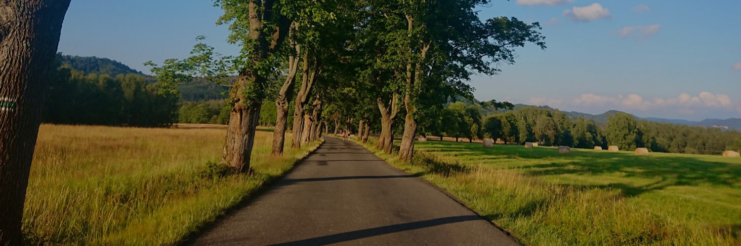 sulelerden's profile banner image