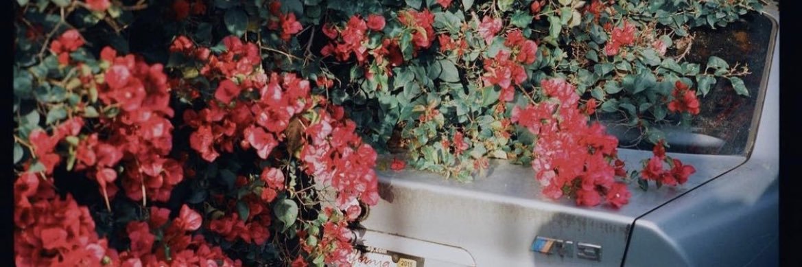 GabyGil's profile banner image