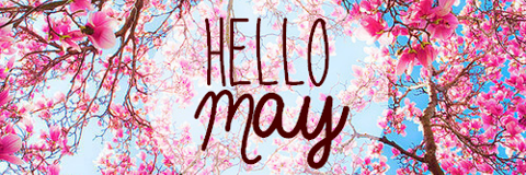 mayssitha's profile banner image