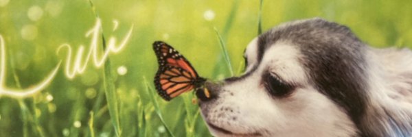 Mr24705988 Profile Banner