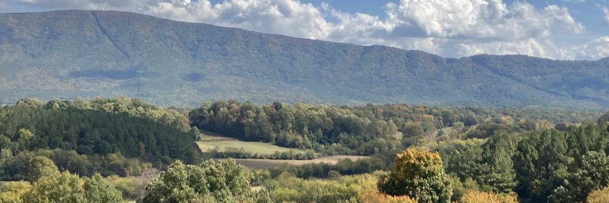 Alison Pryor banner