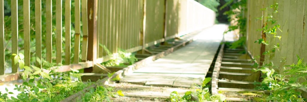 kimitamu's profile banner image