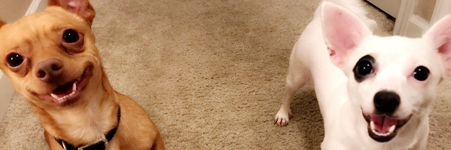 BaconNdBitches_'s profile banner image