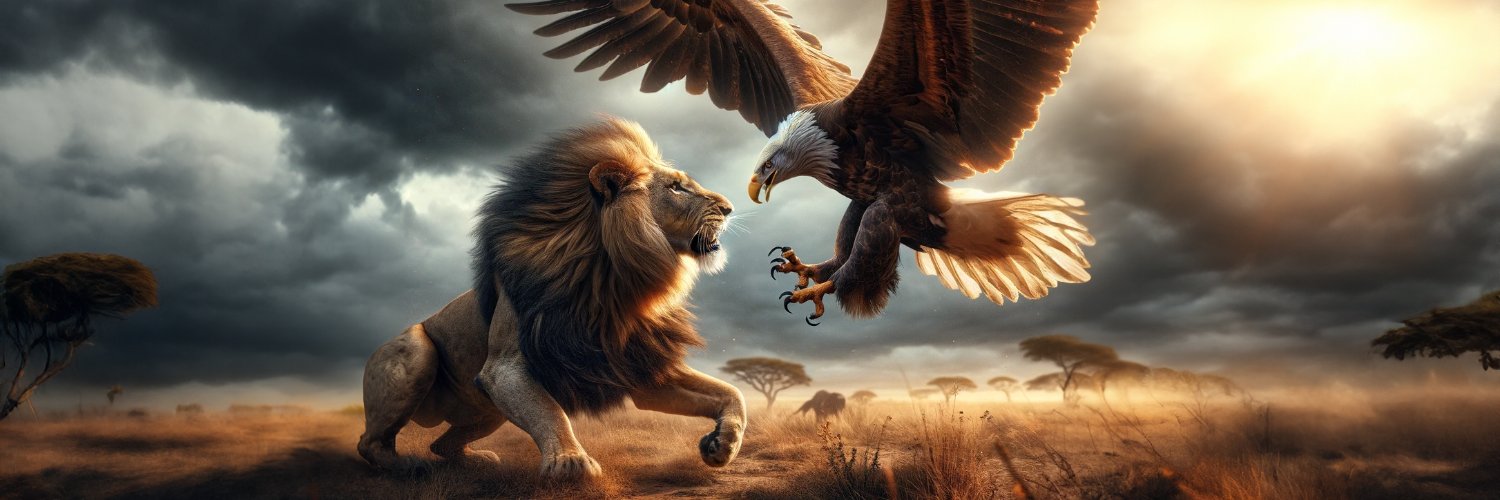 ibrahimtuna_tr's profile banner image