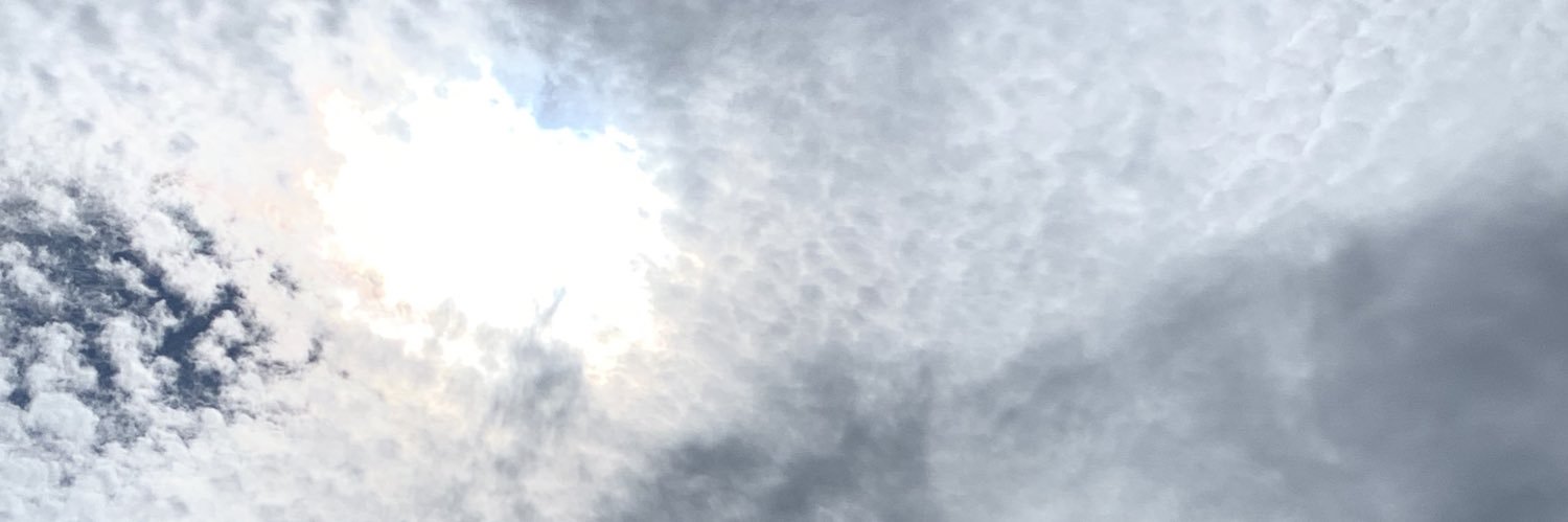 sunz..֊ banner